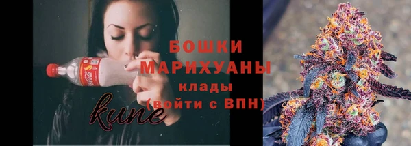 ГАЛЛЮЦИНОГЕННЫЕ ГРИБЫ Вяземский
