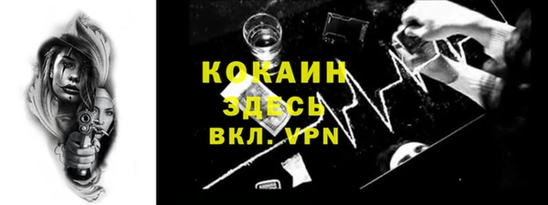 ГАЛЛЮЦИНОГЕННЫЕ ГРИБЫ Вяземский