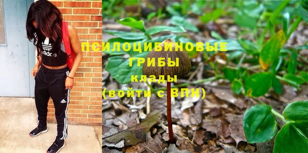 стафф Вязники