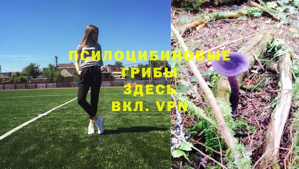 стафф Вязники