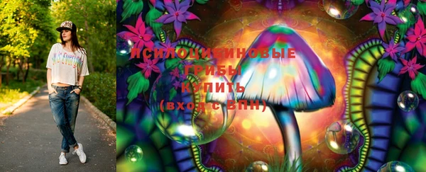 ГАЛЛЮЦИНОГЕННЫЕ ГРИБЫ Вяземский