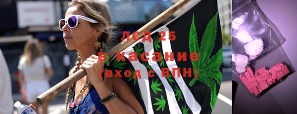 ГАЛЛЮЦИНОГЕННЫЕ ГРИБЫ Вяземский