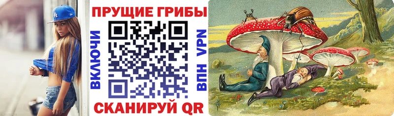 мега tor  купить наркоту  Находка  Псилоцибиновые грибы GOLDEN TEACHER 